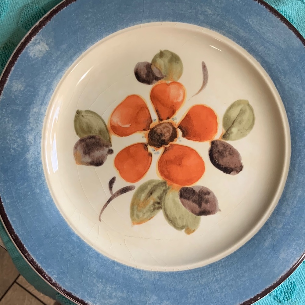 2 Vintage Pier1 Sofia Watercolor Dinner Plates
